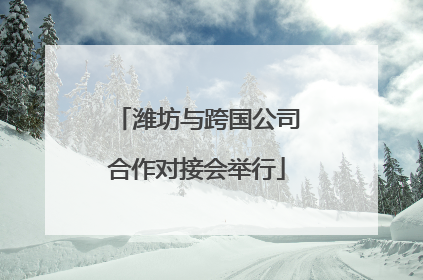 潍坊与跨国公司合作对接会举行