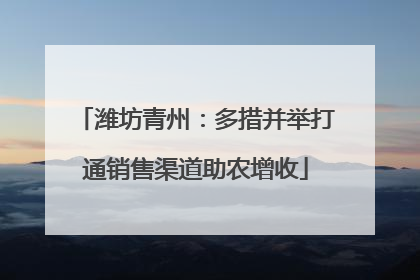 潍坊青州：多措并举打通销售渠道助农增收