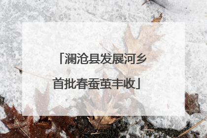 澜沧县发展河乡首批春蚕茧丰收