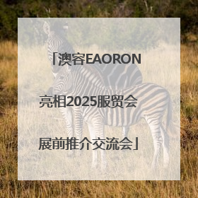 澳容EAORON亮相2025服贸会展前推介交流会