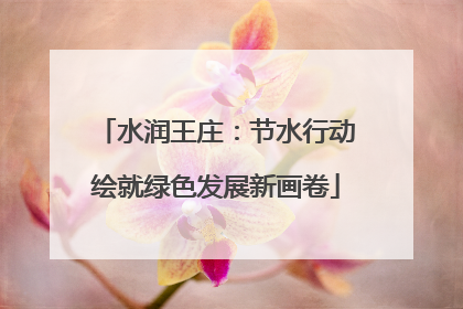 水润王庄：节水行动绘就绿色发展新画卷