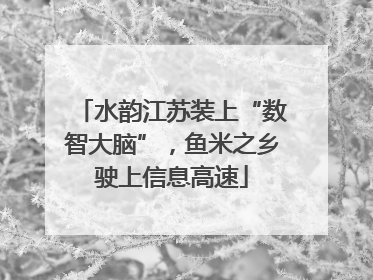 水韵江苏装上“数智大脑”，鱼米之乡驶上信息高速