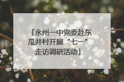 永州一中党委赴东瓜井村开展“七一”走访调研活动