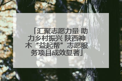 汇聚志愿力量 助力乡村振兴 陕西神木“益起帮”志愿服务项目成效显著
