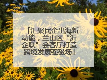 汇聚民企出海新动能，兰山区“沂企联”会客厅打造跨境发展强磁场