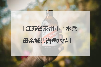 江苏省泰州市：水兵母亲城共谱鱼水情