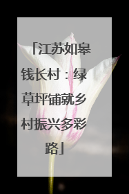 江苏如皋钱长村：绿草坪铺就乡村振兴多彩路