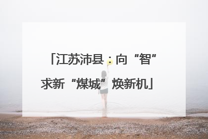 江苏沛县：向“智”求新“煤城”焕新机