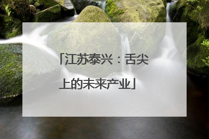 江苏泰兴：舌尖上的未来产业