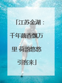 江苏金湖：千年藕香飘万里 荷韵悠悠引客来