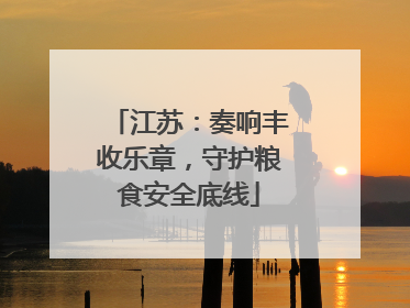 江苏：奏响丰收乐章，守护粮食安全底线