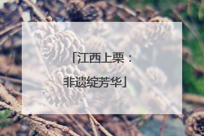 江西上栗：非遗绽芳华