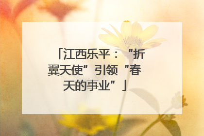 江西乐平：“折翼天使”引领“春天的事业”