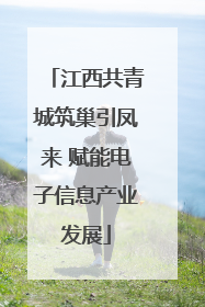 江西共青城筑巢引凤来 赋能电子信息产业发展