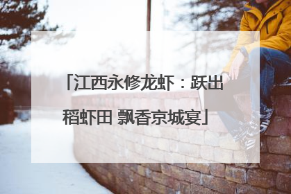 江西永修龙虾：跃出稻虾田 飘香京城宴