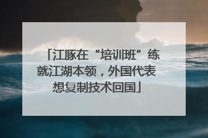 江豚在“培训班”练就江湖本领，外国代表想复制技术回国