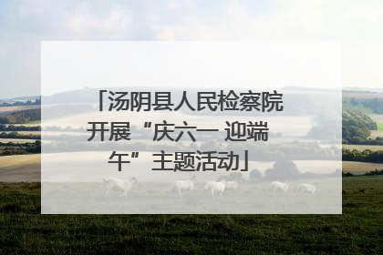 汤阴县人民检察院开展“庆六一 迎端午”主题活动