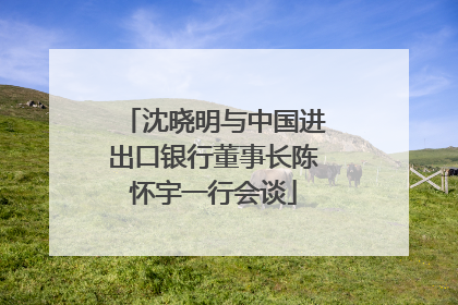 沈晓明与中国进出口银行董事长陈怀宇一行会谈