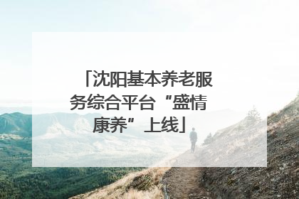 沈阳基本养老服务综合平台“盛情康养”上线