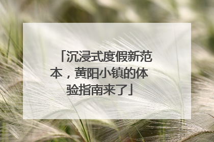 沉浸式度假新范本，黄阳小镇的体验指南来了