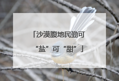 沙漠腹地民勤可“盐”可“甜”
