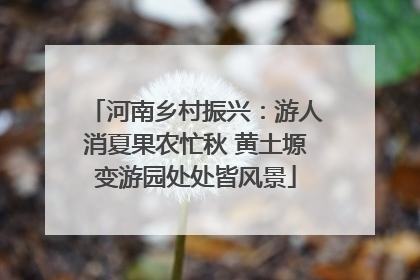 河南乡村振兴：游人消夏果农忙秋 黄土塬变游园处处皆风景