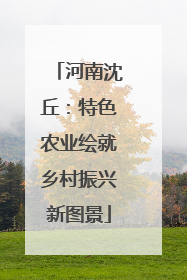 河南沈丘：特色农业绘就乡村振兴新图景