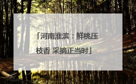 河南淮滨：鲜桃压枝香 采摘正当时