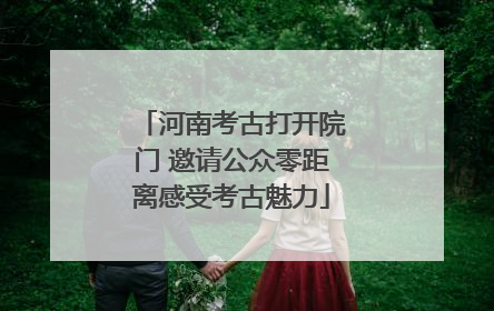 河南考古打开院门 邀请公众零距离感受考古魅力