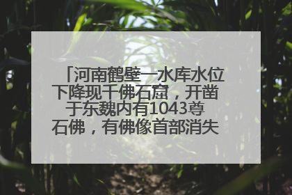 河南鹤壁一水库水位下降现千佛石窟，开凿于东魏内有1043尊石佛，有佛像首部消失，水库管理方回应