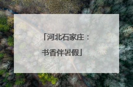 河北石家庄：书香伴暑假