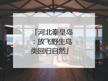 河北秦皇岛：放飞野生鸟类回归自然