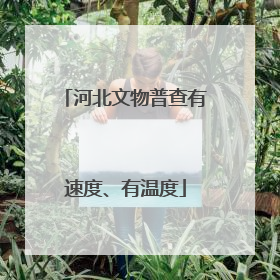 河北文物普查有速度、有温度