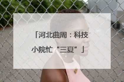河北曲周：科技小院忙“三夏”