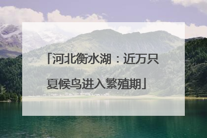 河北衡水湖：近万只夏候鸟进入繁殖期