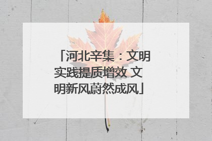 河北辛集：文明实践提质增效 文明新风蔚然成风