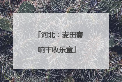 河北：麦田奏响丰收乐章