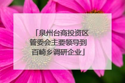 泉州台商投资区管委会主要领导到百崎乡调研企业