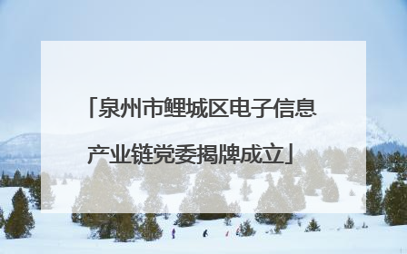 泉州市鲤城区电子信息产业链党委揭牌成立
