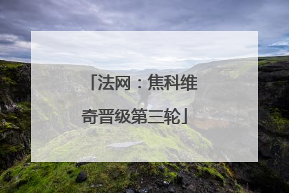 法网：焦科维奇晋级第三轮