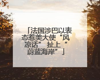 法国涉巴以表态惹美大使“风凉话” 扯上“蔚蓝海岸”