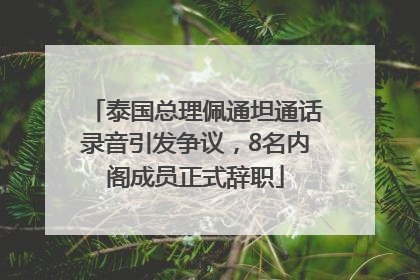 泰国总理佩通坦通话录音引发争议，8名内阁成员正式辞职