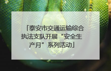 泰安市交通运输综合执法支队开展“安全生产月”系列活动