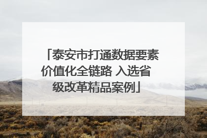 泰安市打通数据要素价值化全链路 入选省级改革精品案例