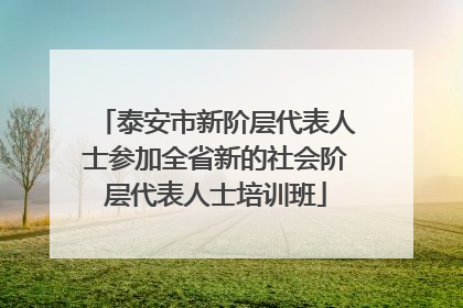 泰安市新阶层代表人士参加全省新的社会阶层代表人士培训班