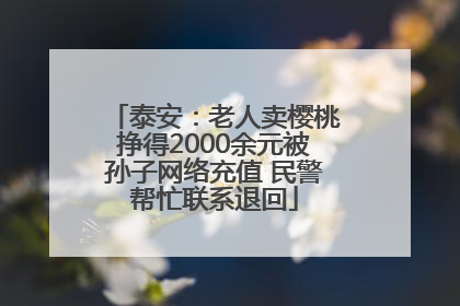 泰安：老人卖樱桃挣得2000余元被孙子网络充值 民警帮忙联系退回