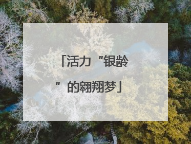 活力“银龄”的翱翔梦