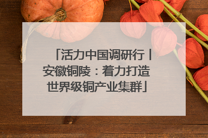 活力中国调研行丨安徽铜陵：着力打造世界级铜产业集群