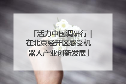 活力中国调研行｜在北京经开区感受机器人产业创新发展