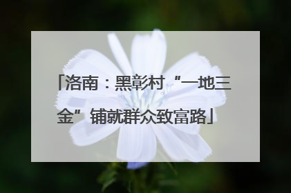 洛南：黑彰村“一地三金”铺就群众致富路